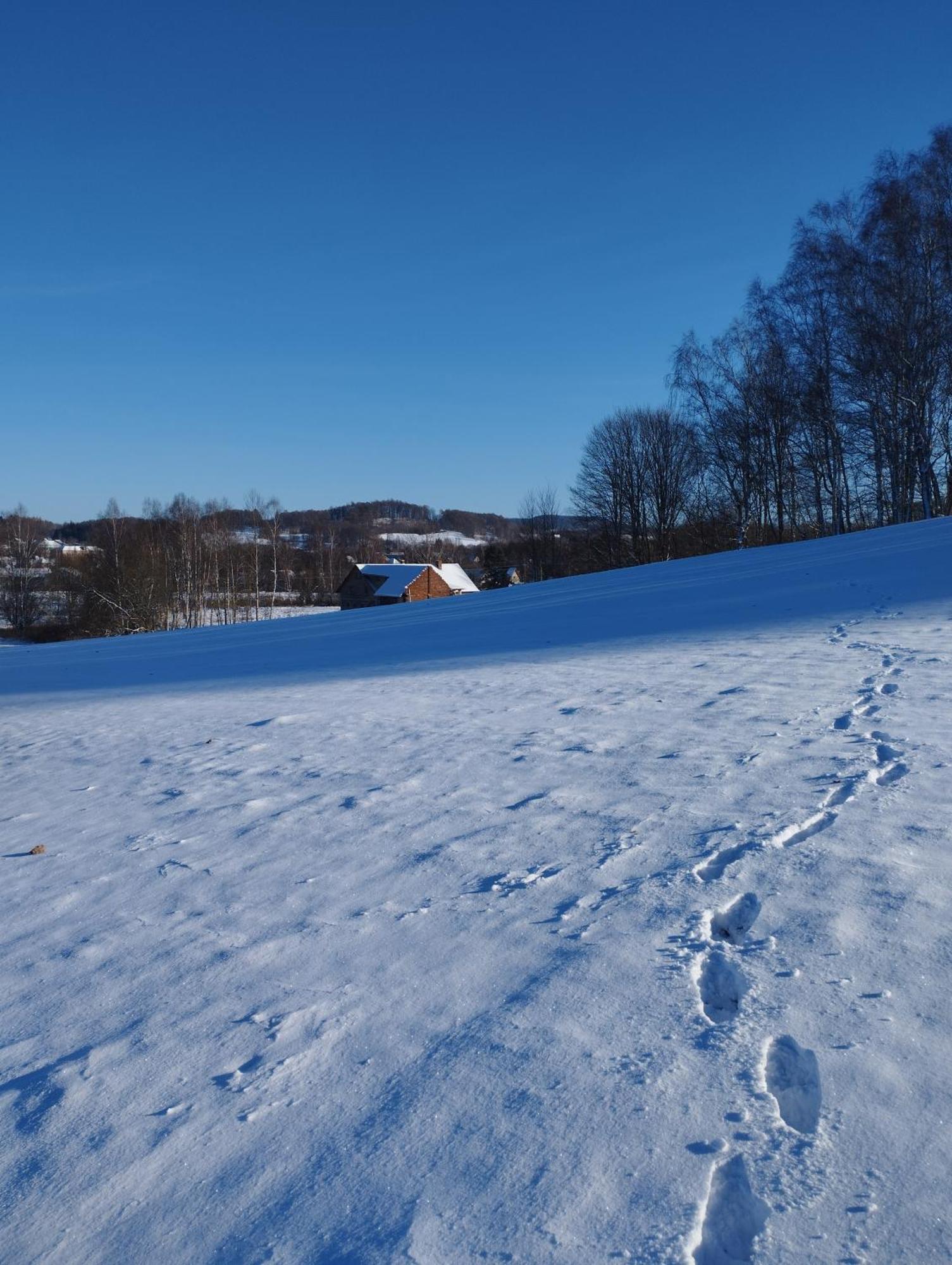 Zimmeruv Statek Mikulášovice 外观 照片